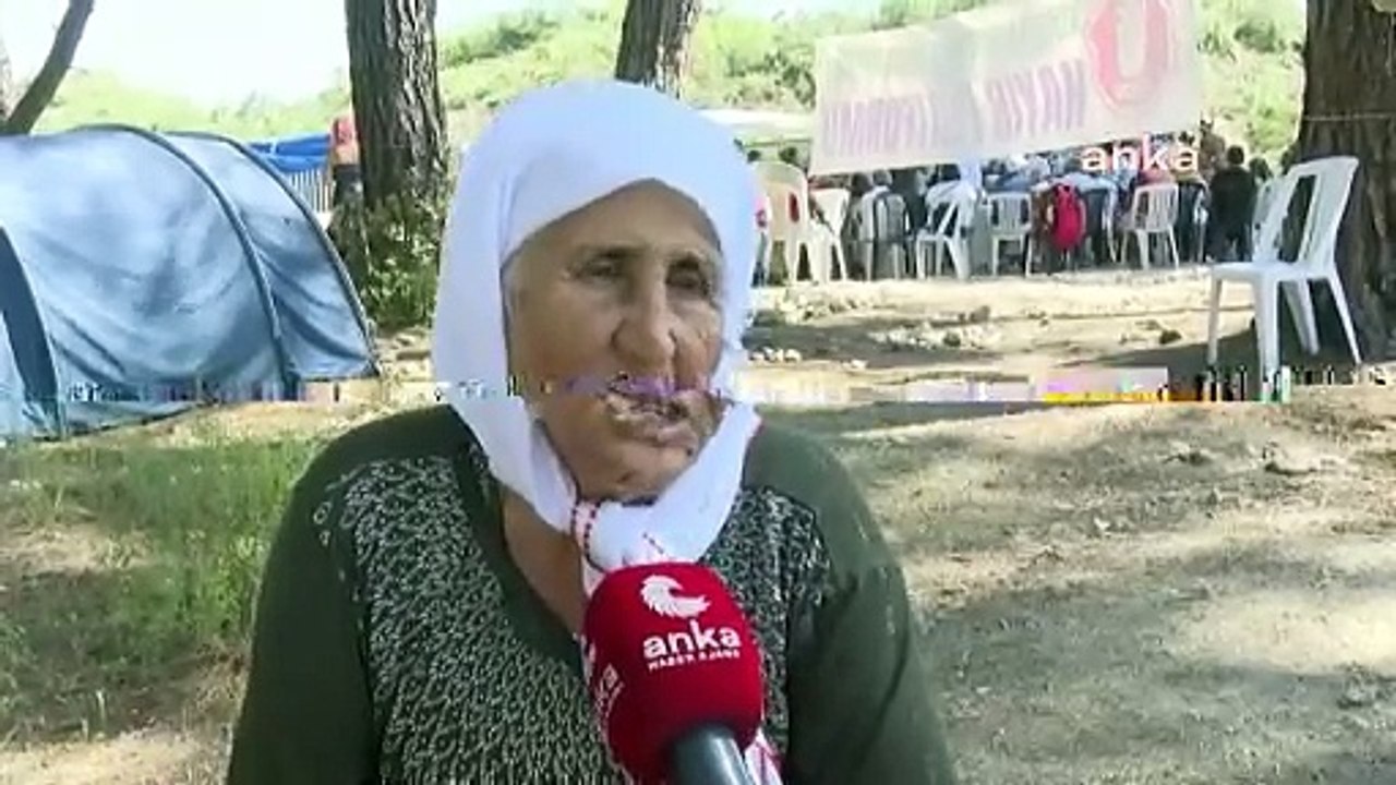 Bir yandan zeytin ağaçları kesiliyor diğer yandan Erdoğan 'zeytinyağı pahalı' deyip ihracatı yasaklıyor