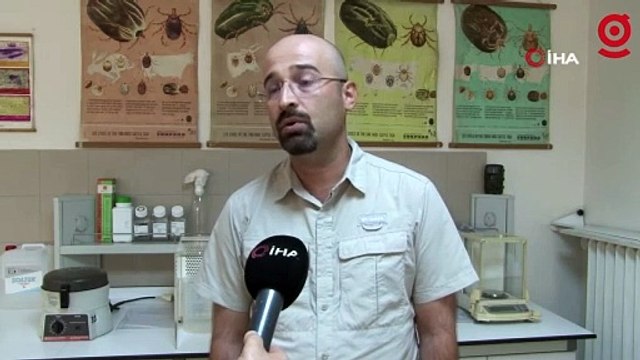 Kene vakalarında 'aşırı yağış' etkisine dikkat. Uzmanı uyardı