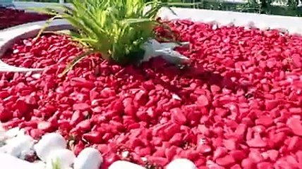 3 yıl sonra oğulları şehit sayıldı. Hukuk mücadelesi başlatmışlardı