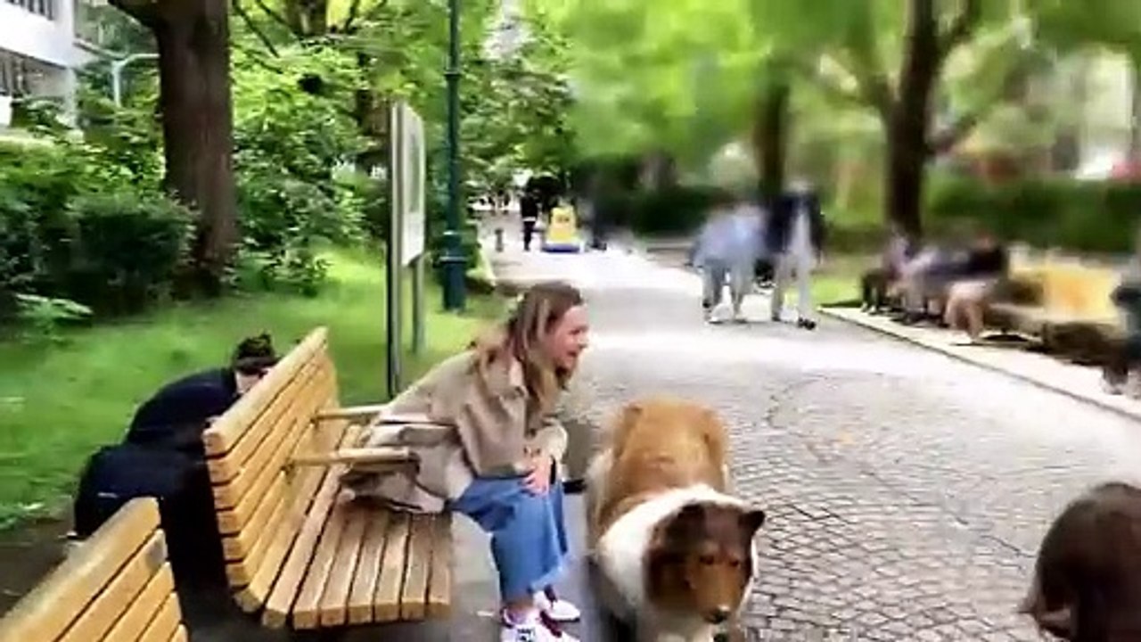 Paranın köpeği olmadı, parasını verip köpek oldu