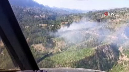 Adana'daki iki orman yangını kontrol altına alındı