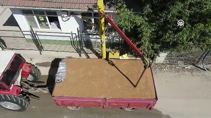 TMO'nun hububat alımları sürüyor