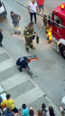 İstanbul'un göbeğinde yılan dehşeti