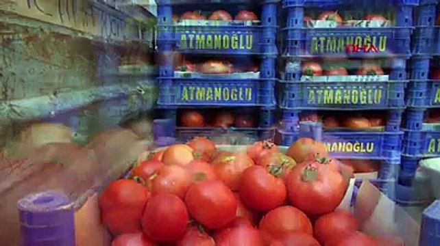 Kiracıya domates patates bedava ev sahibine parayla bile satış yok