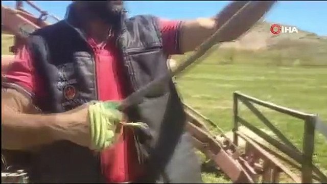 Çiftçi yılanla kediyle oynar gibi oynayıp konuştu