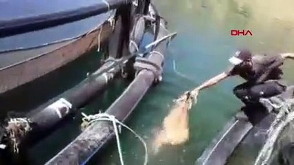 Dağ keçisi suya düştü imdadına işçiler yetişti