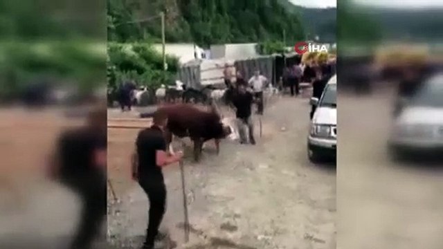 İpini koparan kurban pazarını birbirine kattı