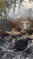 Marmaris'teki orman yangınında dehşete düşüren detay: Ormana atılıp cesedi ateşe verilmiş