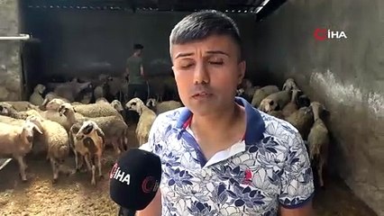 Adana'da termometreler 52 dereceyi gösterdi