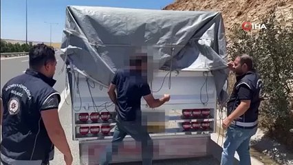 Kamyonetin kasasını açan polisler şok oldu. Saya saya bitiremedi