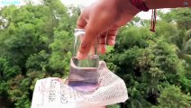 8 Amazing Water Experiments At Home __ Easy Science Experiments With Water(720P_HD)