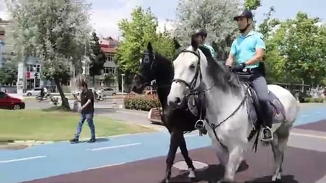 Tekirdağ’da atlı jandarma timi görev başında