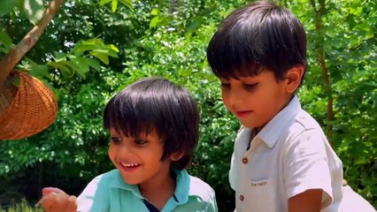 Heritage Recipe_ Stone Handmill Atta Chai Cookies from Village Il Stepback in old Time II