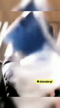 Kim derdi ki böyle filmlerde oynayan Kadir İnanır yandaş olacak