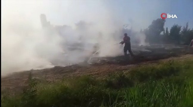 Alevlerin arasında kalan kaplumbağa itfaiye ekipleri tarafından kurtarıldı