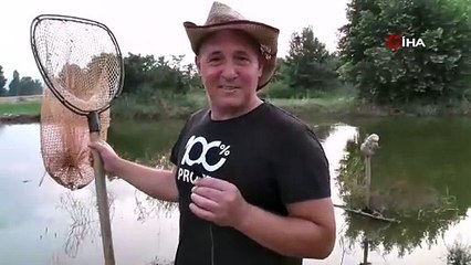 Tarlasında yetiştiriyor. Kepçe kepçe topluyor