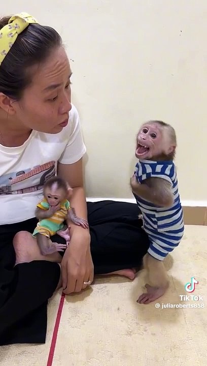 Monkey Baby Fun