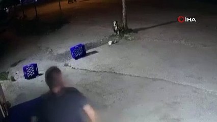 Böyle insan olmaz! Ağaca bağlı köpeğe defalarca ateş etti