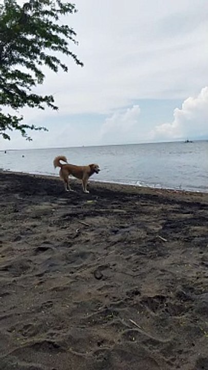 seaside