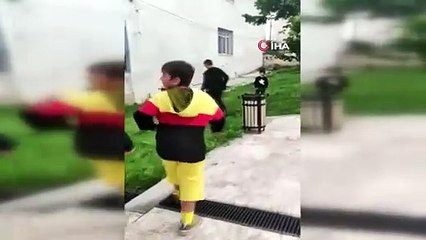 Kuyuda mahsur kalan kedileri itfaiye ekipleri kurtardı