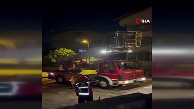 Ağaçta mahsur kalan kediyi itfaiye kurtardı