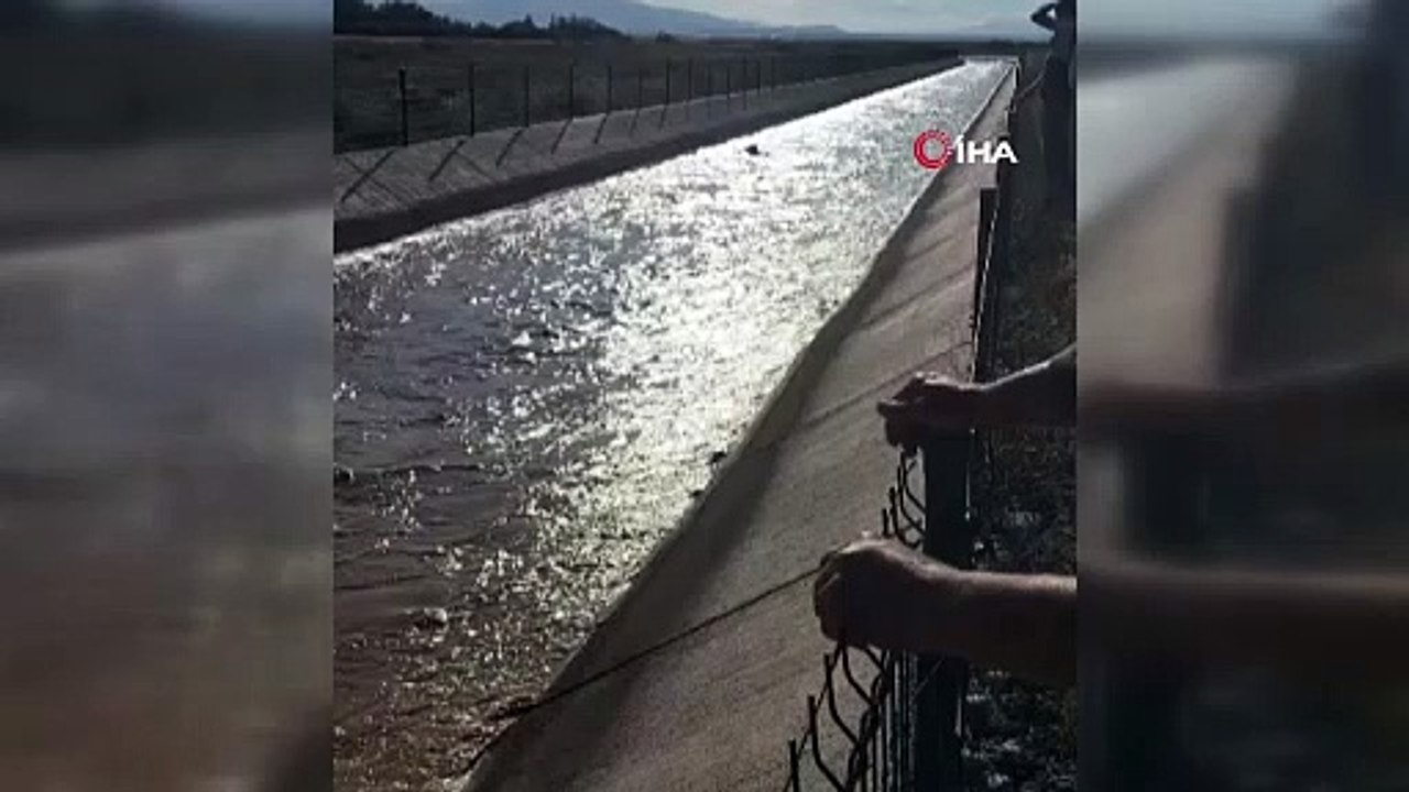 Kepçe operatörü su kanalına düşen boğayı kepçe...