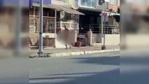Aydın'da sokakta çıplak koşan şahsı polis gözaltına alındı