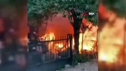 Yavru kedi yanan evden böyle kurtarıldı