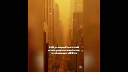 ABD’de duman istilası. Yetkililerden dışarı çıkmayın uyarısı