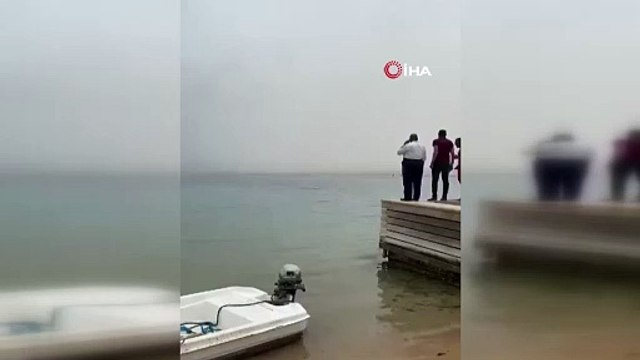 Rus turisti yiyen Köpek balığı yakalanarak karnı yarıldı