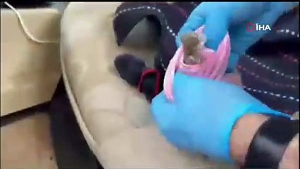 Otomobilin her yerinden uyuşturucu çıktı