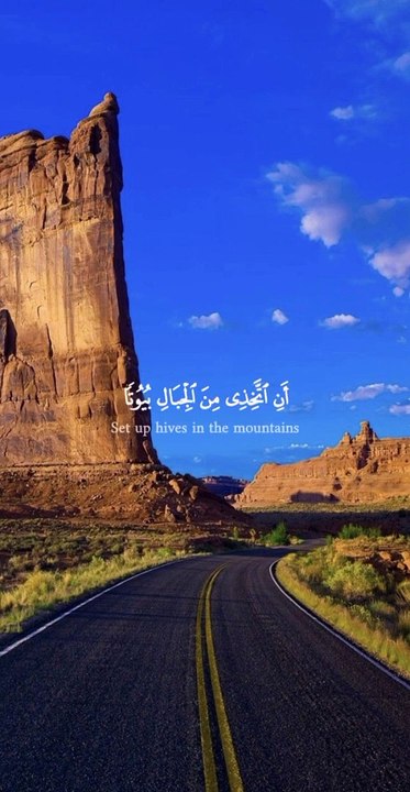 وأوحى ربك إلى النحل أن اتخذي من الجبال بيوتا(تلاوة من سورة النحل )قرآن كريم القارئ إدريس أبكر (1280p_25fps_H264-192kbit_AAC)