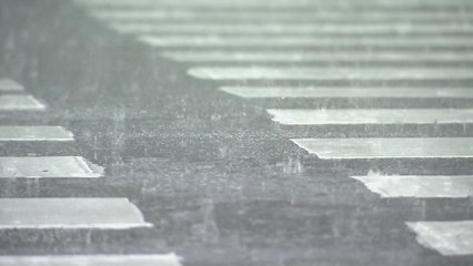 [날씨] 주말, 전국 비...남부 중심 요란하고 강한 비 / YTN