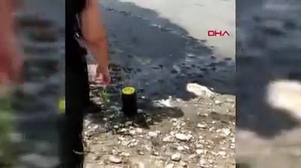 Bursa'da korkutan görüntü: Boğazköy Barajı'nın yüzeyini siyah tabaka kapladı