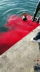 Sokak müzisyeninin Kadıköy Sahil'de öldürüldüğü yere arkadaşları afişini astı