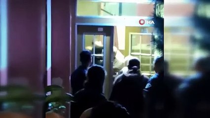 İstanbul'da 20 kedi öldürülmüş olarak bulundu