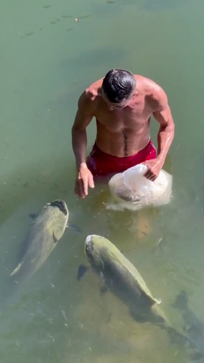 Friendly fish