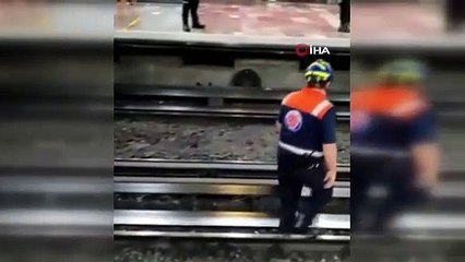 Raylara giren tavuk metro seferlerini aksattı