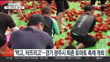 '황금 토마토'를 찾아라…경기 광주 퇴촌 토마토 축제 개막