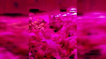 Evini seraya çevirdi