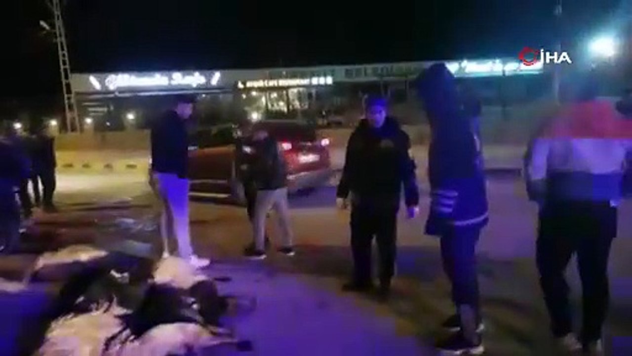 25 koyun telef oldu