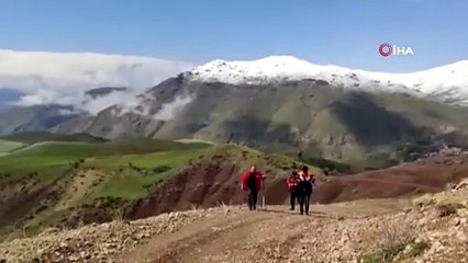 Yaban bitkisi uğruna canından oldu