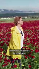 Gelincik tarlasından yardım çağrısı yapan Gülben Ergen tarla sahibini kızdırdı