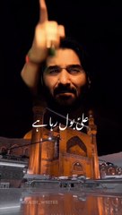 Ali bol Rha Hai heart touching Noha By Nadeem Sarwar