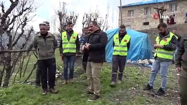 Aç kalan kurt sürüsü keçileri telef etti