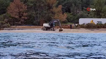 Bodrum'da denize dökülen kuma kaldırın talimatı