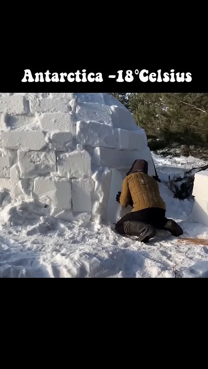 Antarctica video scene