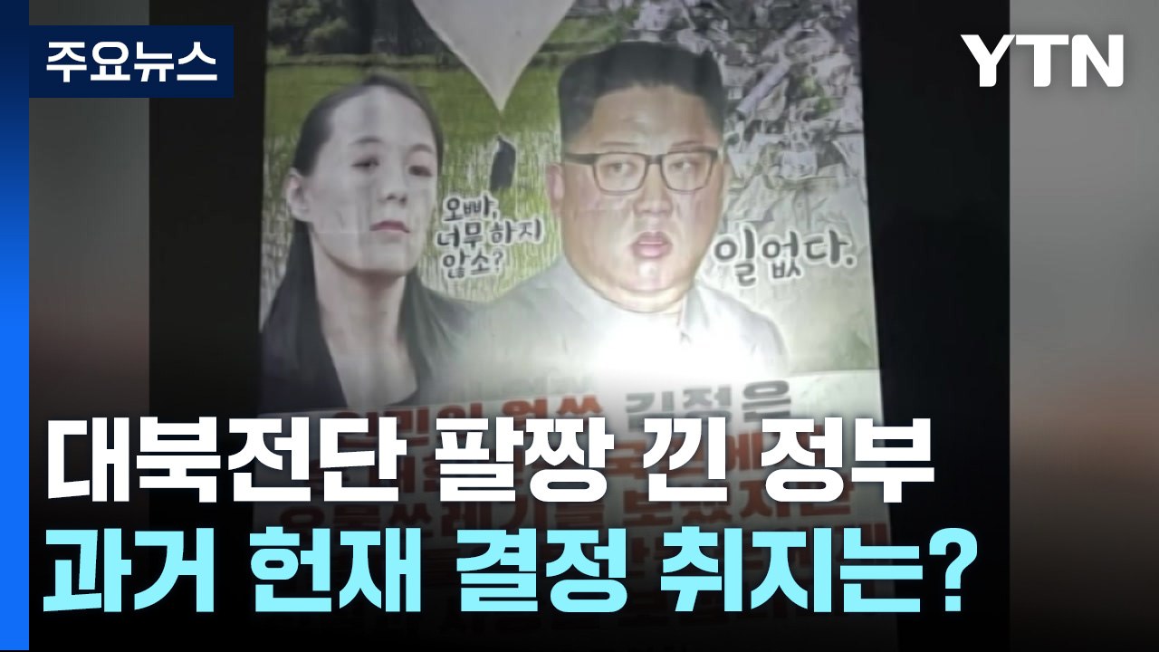 "표현의 자유" 대북전단 팔짱 낀 정부...헌재 결정 어땠나 / YTN