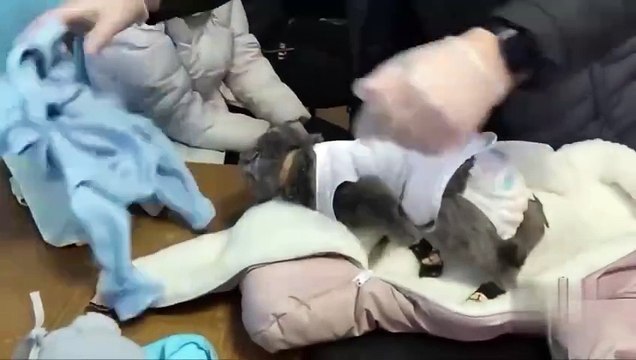 Bebek tulumunun içinden çıkanlar herkesi şok etti. Bakın tulumdan ne çıktı