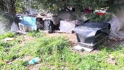 Sitedeki kedilerin sayısı azaldı! Kameraları izleyince şoke oldular...